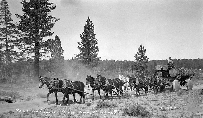 hauling lumber